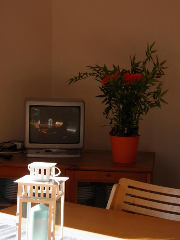 Maremmare Tuscany Apartments Принчипина-а-Маре Экстерьер фото